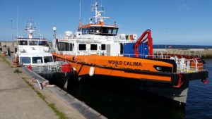 Image of World Calima